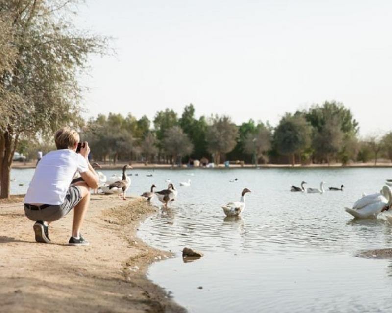 سياحة رومانسية على ضفاف هذه البحيرة في دبي-0