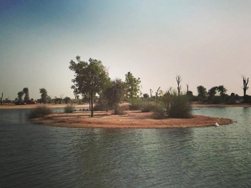 سياحة رومانسية على ضفاف هذه البحيرة في دبي-3