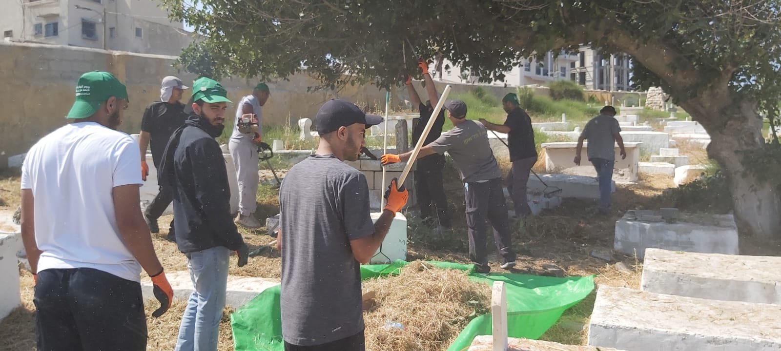 يافا: بالصور الحركة الإسلامية تنظم معسكر عمل لتنظيف مقبرة الكزخانة-2