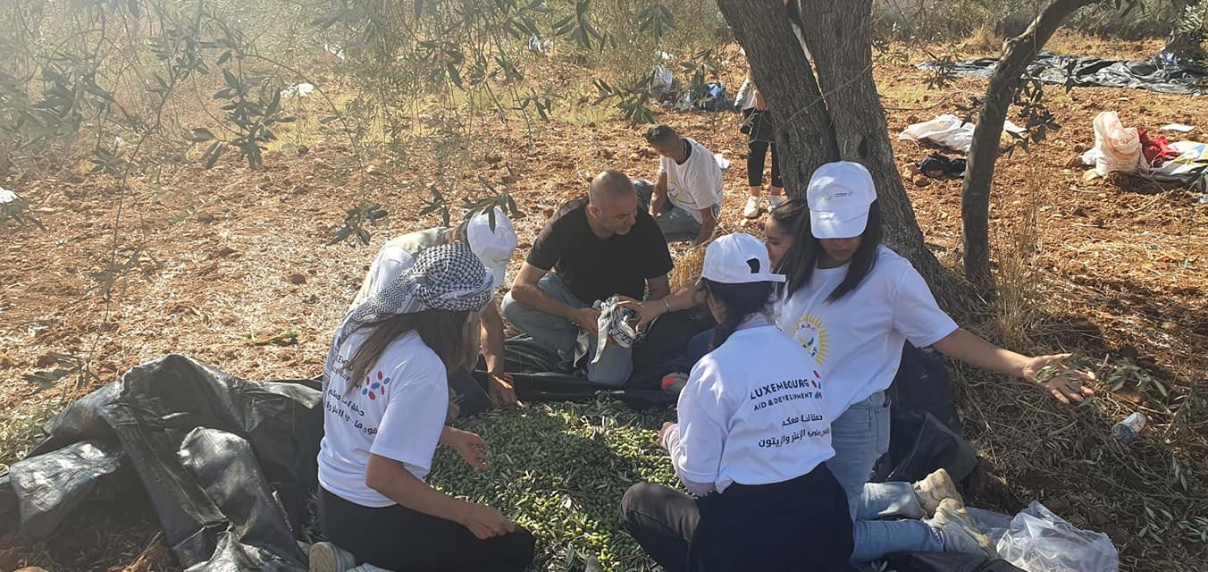 جمعية انماء في حملة " العونة " لمساعدة المزارعين في القدس-6