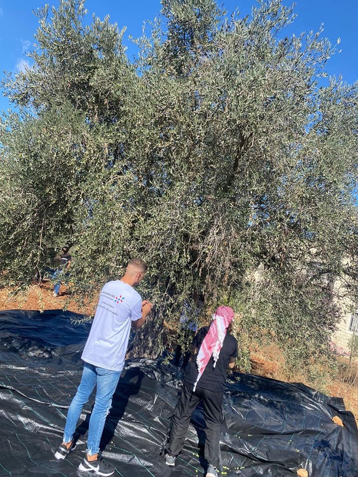 جمعية انماء في حملة " العونة " لمساعدة المزارعين في القدس-18