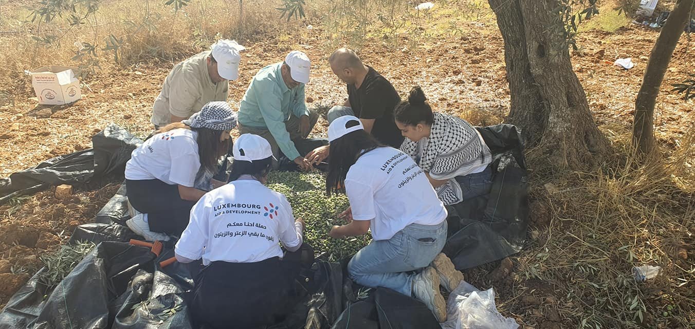جمعية انماء في حملة " العونة " لمساعدة المزارعين في القدس-19