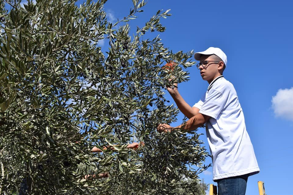 جمعية انماء في حملة " العونة " لمساعدة المزارعين في القدس-35
