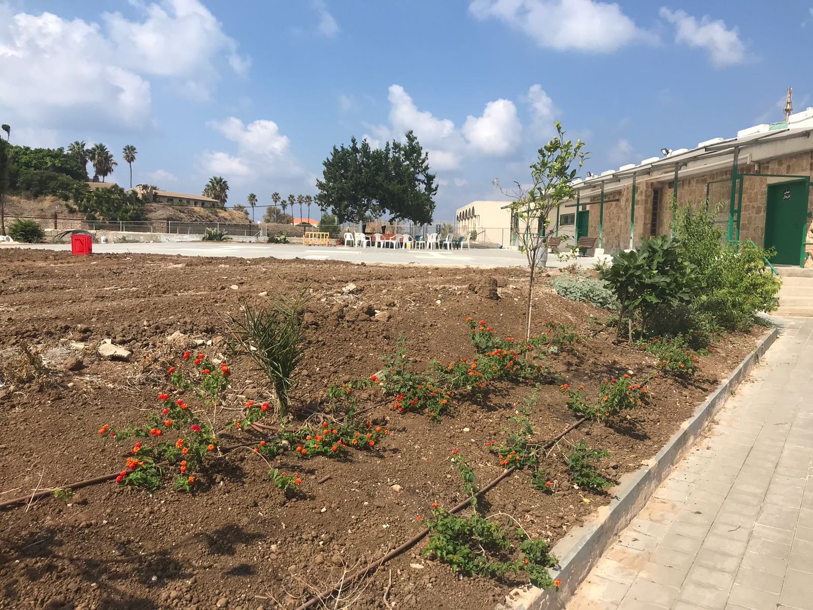 بلدية عكا تقوم بترميمات واسعة في ساحة المتنزه المحاذي للخندق-4