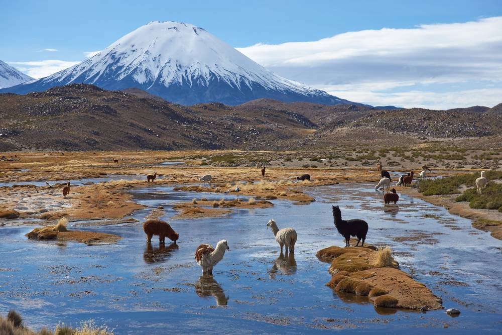 4 عناوين سياحية لا تفوت في تشيلي-2