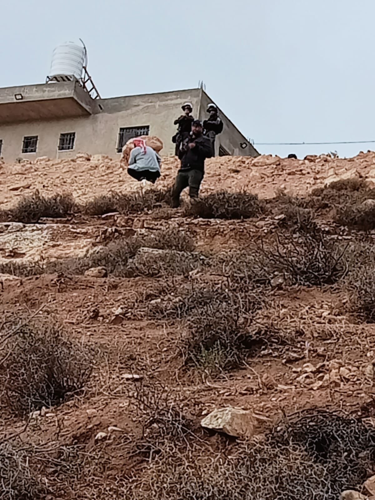 الجيش الاسرائيلي يهدم منازل ويجرف أراضي ويقتلع أشجارا في بيرين جنوب شرق الخليل-6