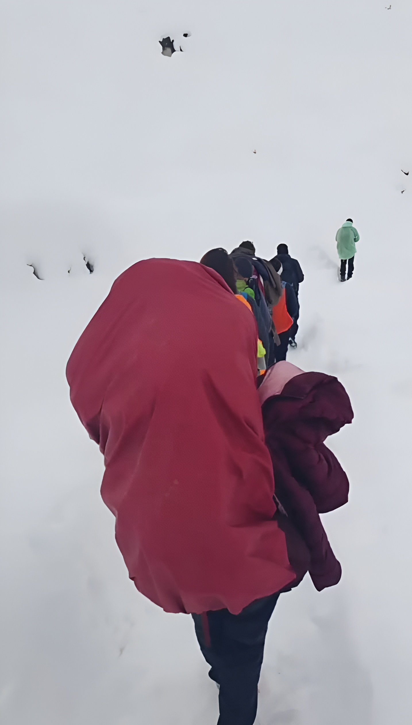 العمل على تخليص سائحين من بلادنا عالقين في عاصفة الثلوج في نيبال-0