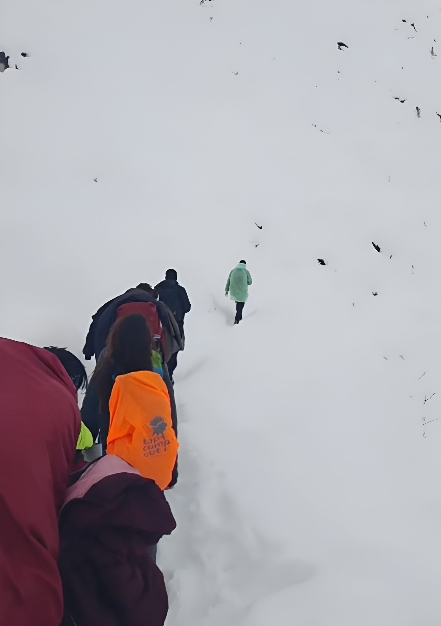 العمل على تخليص سائحين من بلادنا عالقين في عاصفة الثلوج في نيبال-2