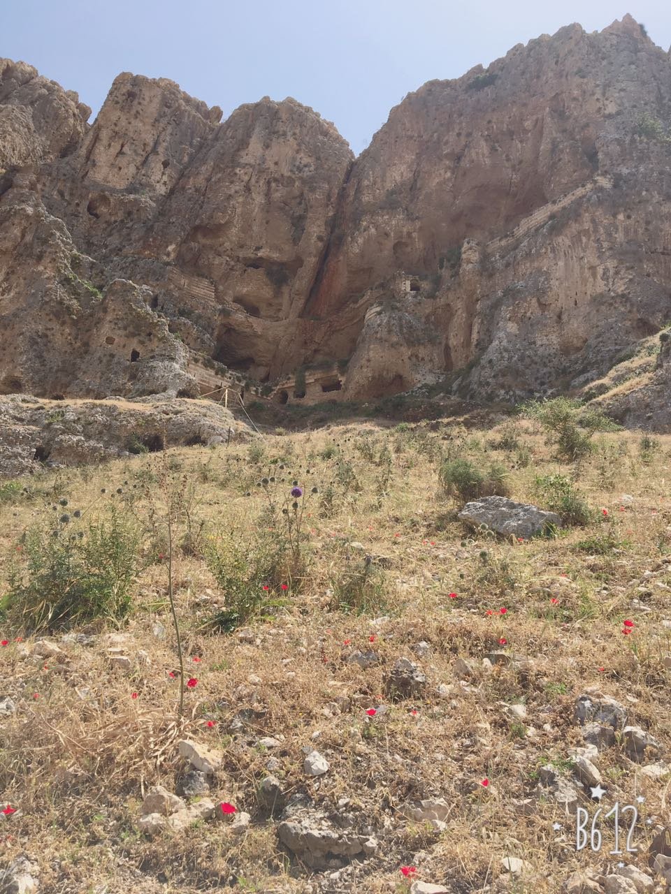 جولة لمعلمي المثلث ووادي عارة يتجولون في جبل وادي الحمام بجانب طبريا-31