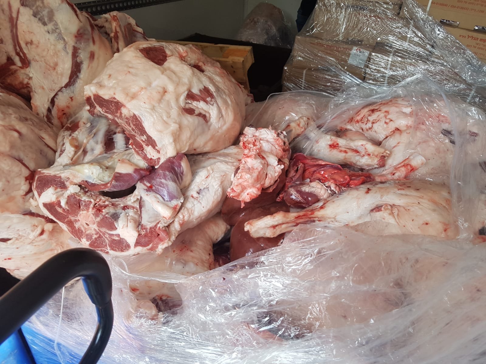  بلدية الناصرة: ضبط كمية لحم تبلغ 4 طن غير صالحة-0