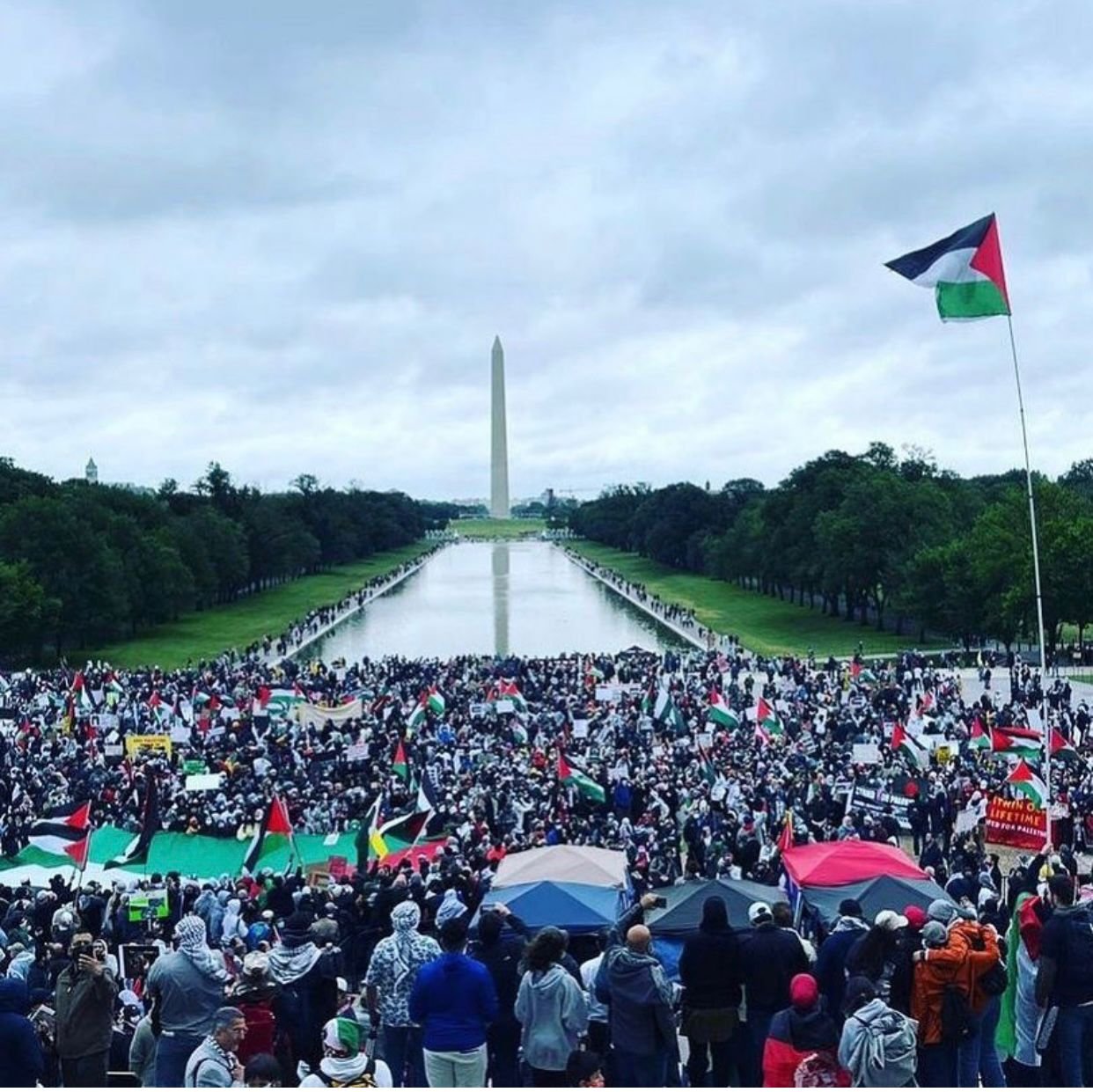 مظاهرة حاشدة في واشنطن تنديدا بالاعتداءات الإسرائيلية على الشعب الفلسطيني-4