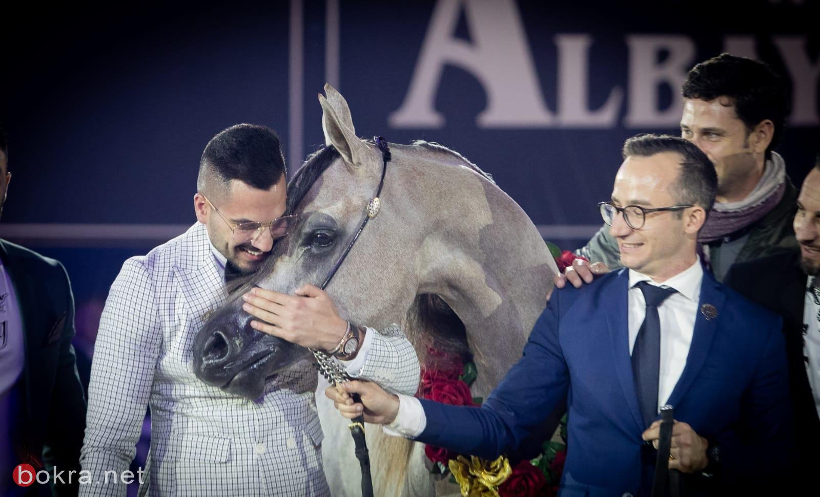 خيول عربية من الناصرة في مسابقات عالمية ورئيس البلدية يبارك لمربي الخيول محمد باسم الشيخ سليمان-5