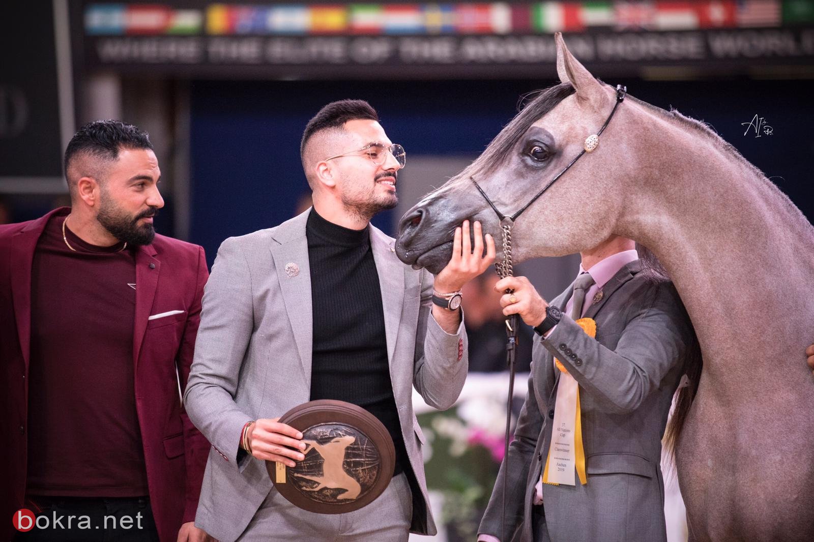 خيول عربية من الناصرة في مسابقات عالمية ورئيس البلدية يبارك لمربي الخيول محمد باسم الشيخ سليمان-7