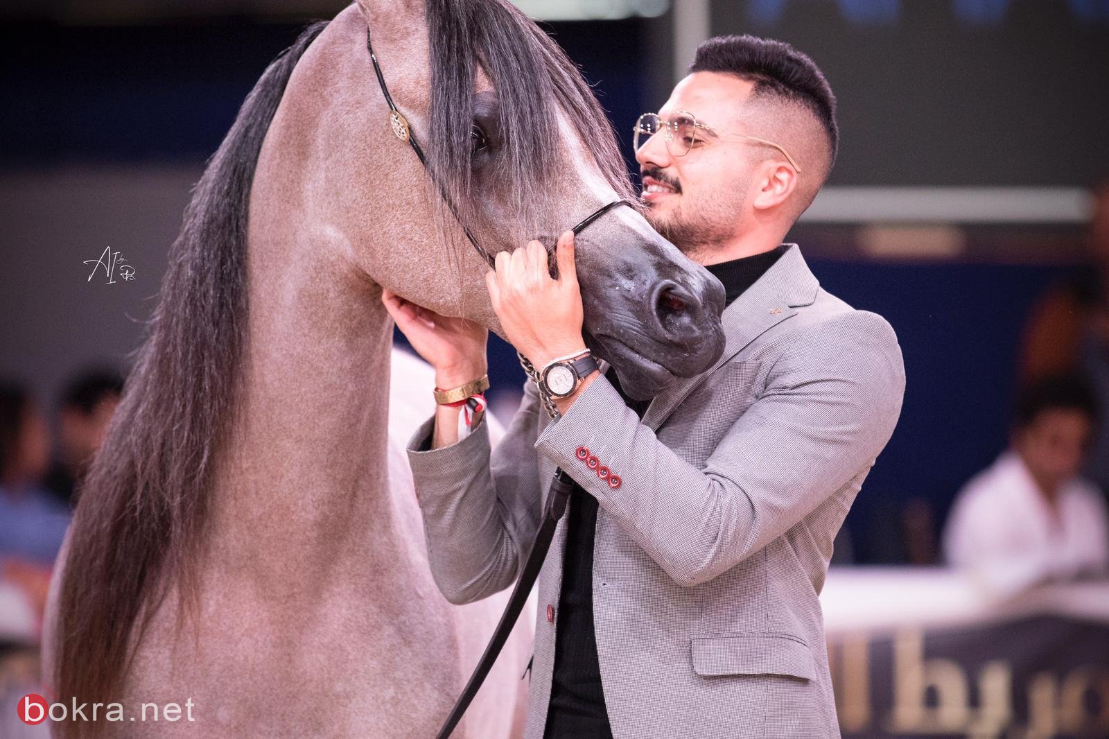 خيول عربية من الناصرة في مسابقات عالمية ورئيس البلدية يبارك لمربي الخيول محمد باسم الشيخ سليمان-11