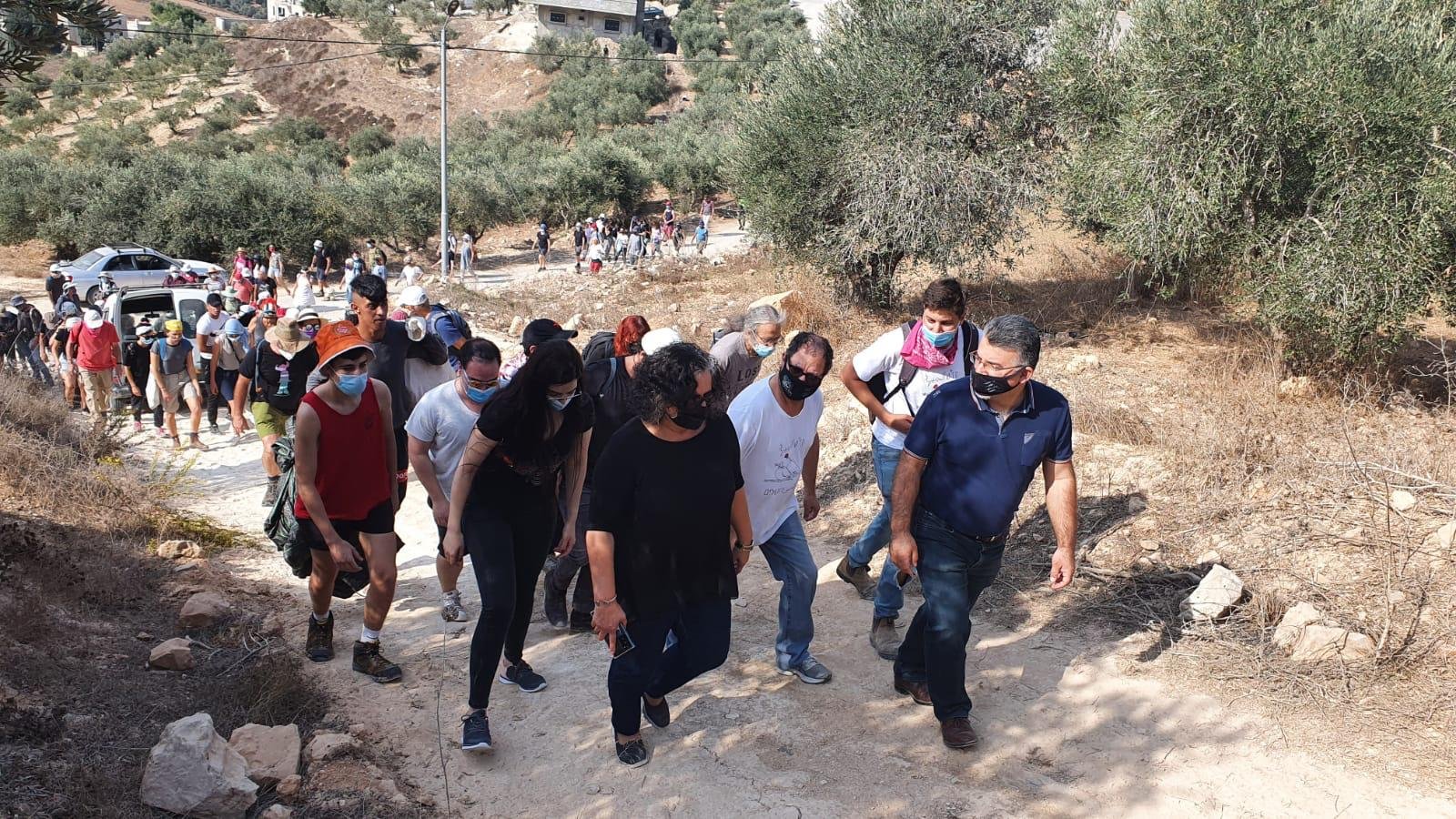 نواب الجبهة ونشطاؤها يشاركون بمبادرة "قطف الزيتون ضد الاحتلال" في الضفة المحتلة-1