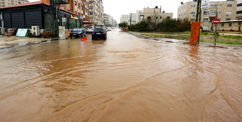 وزارة الزراعة في السلطة الفلسطينية: كميات الأمطار تبشر بموسم زراعي جيد-1