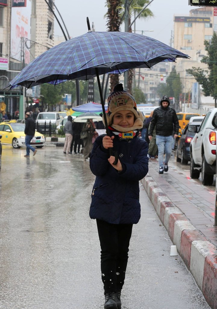 وزارة الزراعة في السلطة الفلسطينية: كميات الأمطار تبشر بموسم زراعي جيد-2