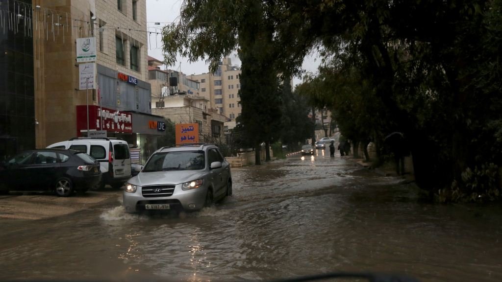 وزارة الزراعة في السلطة الفلسطينية: كميات الأمطار تبشر بموسم زراعي جيد-3