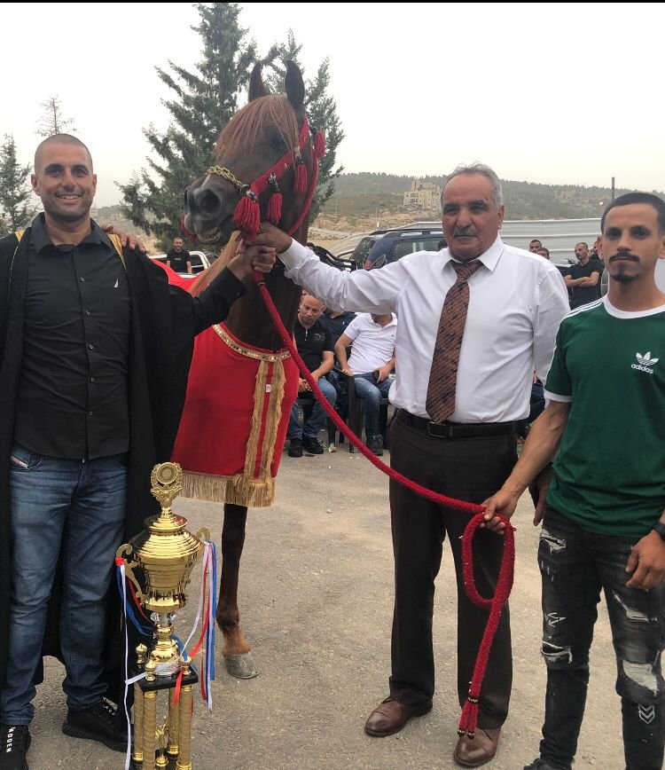 الحصان "بريق برشلونة" يفوز بلقب "بطل الأبطال" في ميدان الشهيد ياسر عرفات-2
