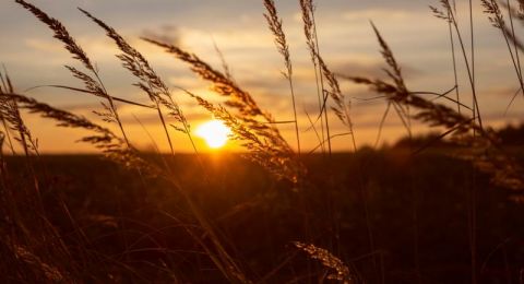 حالة الطقس: اجواء صافية إلى غائمة جزئيًا وحارة نسبيًا