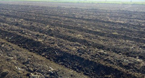 أكثر من 250 مليون شيكل تعويضات: الجفاف يضرب الزراعة في إسرائيل بأقسى شتاء منذ سنوات