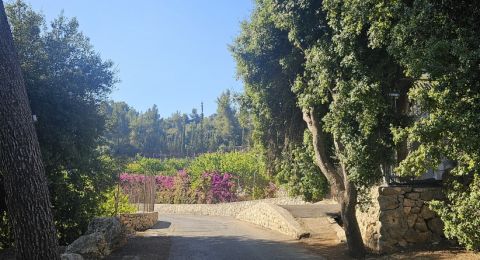 أجواء حارة إلى شديدة الحرارة في أيام العيد… والأرصاد تحذر من الشمس والحرائق