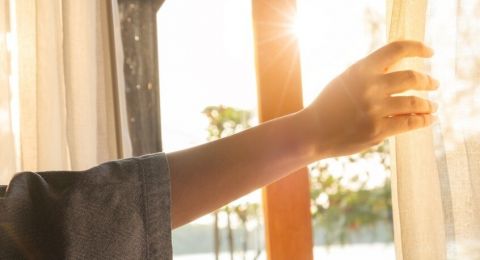 دراسة: ضوء النهار يعزز قدرة الجهاز المناعي على مكافحة العدوى