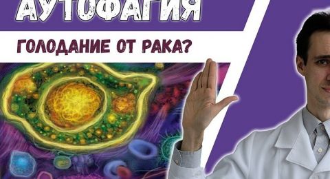 هل يمكن علاج السرطان باتباع أنظمة غذائية قاسية؟