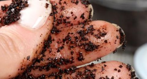 6 مقشرات منزلية للتخلص من التصبغات الجلدية.. جددى بشرتك وانعشيها