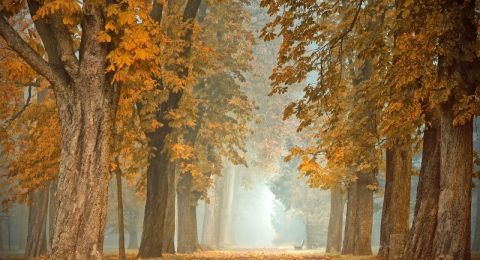حالة الطقس: أجواء خريفية