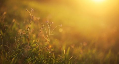 حالة الطقس: أجواء مشمسة وباردة نسبيًا