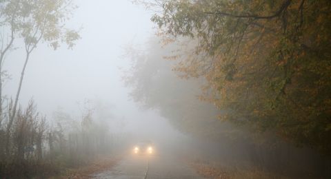 احترازات القيادة أثناء الضباب