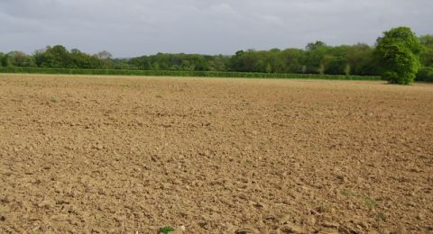 الأرض الموقوفة لا حظ فيها للورثة