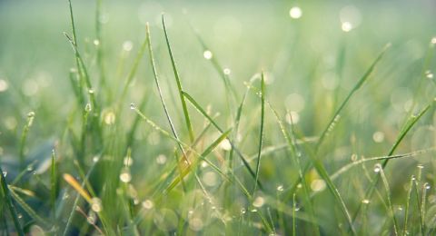 حالة الطقس: شديد البرودة واحتمال أمطار خفيفة