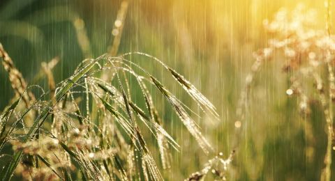 حالة الطقس: أجواء معتدلة نهارا وباردة ليلا حتى الثلاثاء