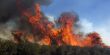 حريق ضخم بجنوب كاليفورنيا يجبر الآلاف على ترك منازلهم