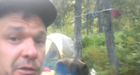 دب يسرق طعام سائح روسي في إحدى الغابات