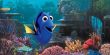 إيرادات فيلم "Finding Dory" تتخطى حاجز الـ500 مليون دولار على مستوى العالم