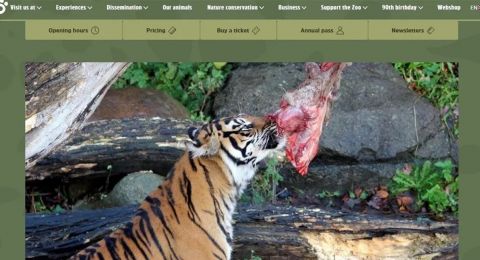 طلب مثير للجدل.. حيوانات أليفة لتغذية حيوانات مفترسة