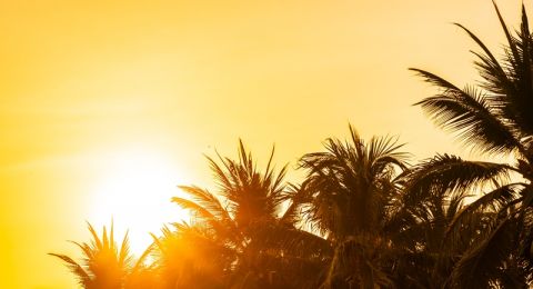 لا تتركوا أطفالكم أو حيواناتكم في السيارة: موجة حرّ قد تكون قاتلة