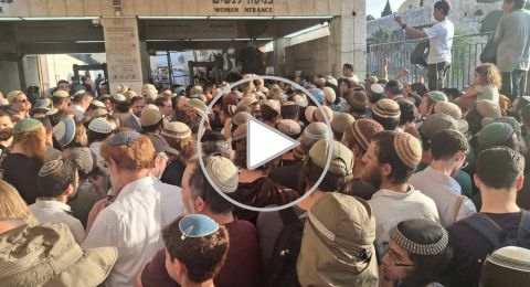 3023 مستوطنا يقتحمون الأقصى وبن غفير يدعو لاحتلال غزة