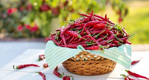 أسباب الرغبة الشديدة في تناول الطعام الحار