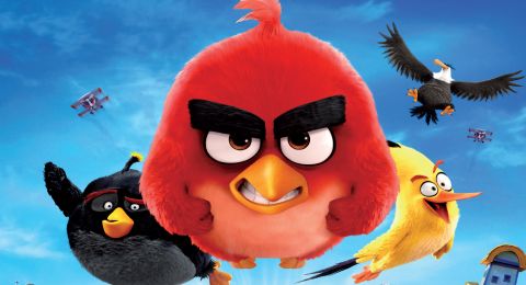 طيور الغاضبة مدبلج Angry Birds