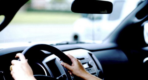 أور يروك: افتتاح برنامج 