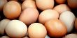 دراسة: بيض الدجاج يحمي الرجال من السكري