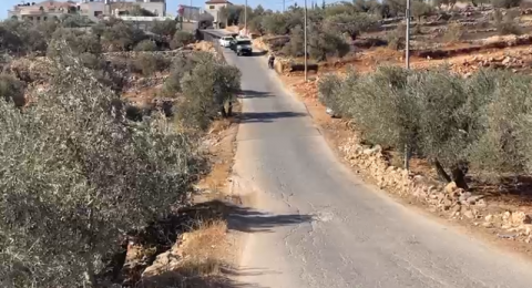 مستوطنون يهاجمون قاطفي الزيتون في عدة محافظات بالضفة الغربية