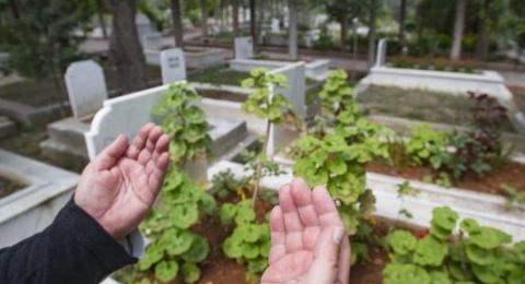 حكم زيارة القبور والأضرحة في الإسلام.. أمين الفتوى يجيب