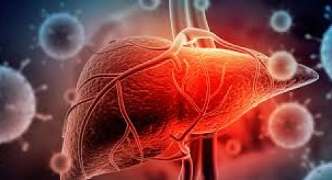 لا تقتصر على الكبد.. اكتشاف علمي يغير فهمنا لخطر فيروس التهاب الكبد E