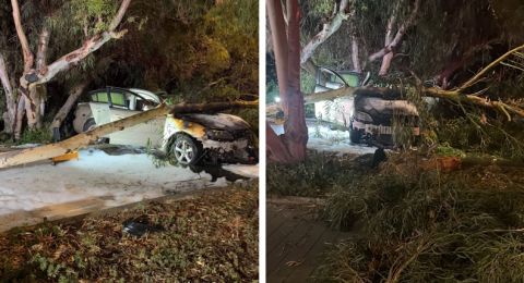 ارتفاع مقلق في حوادث السير بسبب القيادة تحت تأثير الكحول والمخدرات: إصابة شخص كل يوم