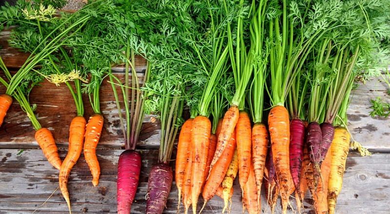 خضروات يجب تناولها في الخريف لتعزيز المناعة Bb00carrot-carrots-produce-food-preview